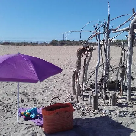 Tournesol T3 דירה Sète